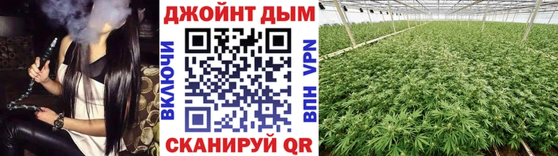 Марихуана план Кяхта