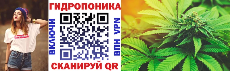 Купить где  Кяхта  Бошки марихуана SATIVA & INDICA 